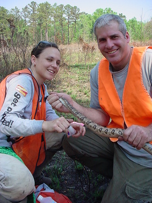 Jayme Waldron and Shane Welch with Canebrake Rattlesnake; Marshall University Herpetology and Applied Conservation Lab; Longleaf pine savanna