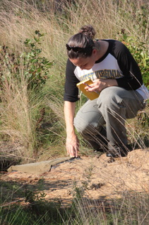 Jayme Waldron, PhD, Marshall University Herpetology and Applied Conservation Lab