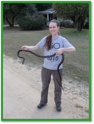 Shelby Timm, black racer, Marshall Universtiy Herpetology and Applied Conservation Lab
