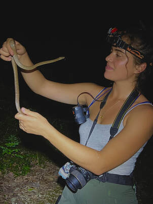 Morgan Page, Marshall University Herpetology and Applied Conservation Lab